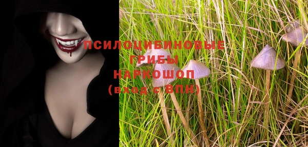 Альфа ПВП Магадан