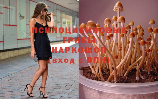 а пвп мука Алзамай